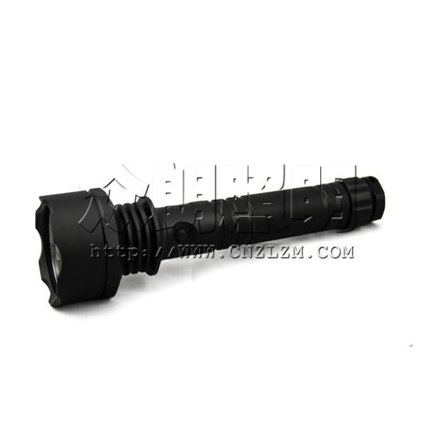 強(qiáng)光眩目器